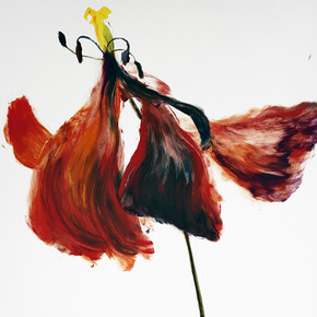 Gaël Davrinche, Memento Mori, 2015 © the artist, courtesy Magda Danysz gallery