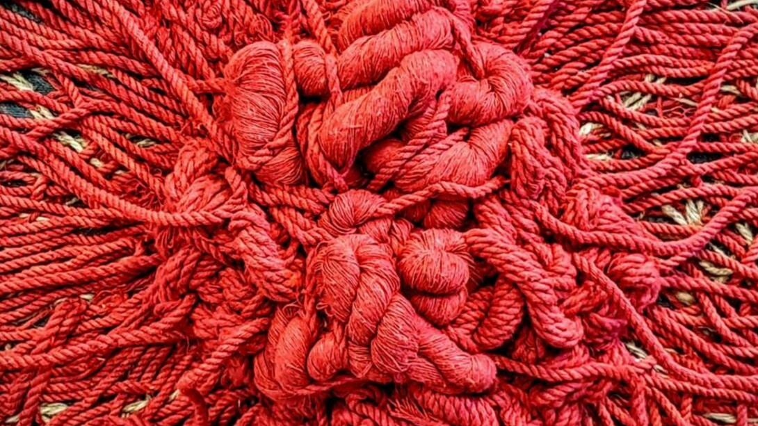 La exposición "Enraizada" de Alessandra Sequeira en Costa Rica utiliza instalaciones y cuadros textiles tridimensionales para crear una experiencia inmersiva