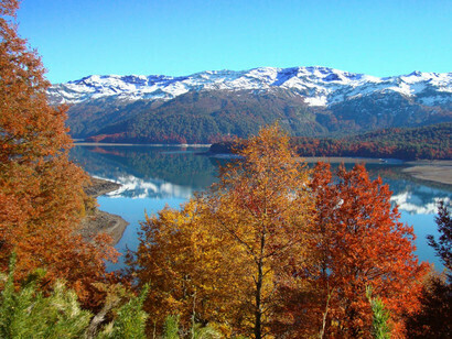 Autumn in the Araucanía region
