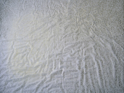 Sīmurg. Courtesy of Josée Bienvenu Gallery