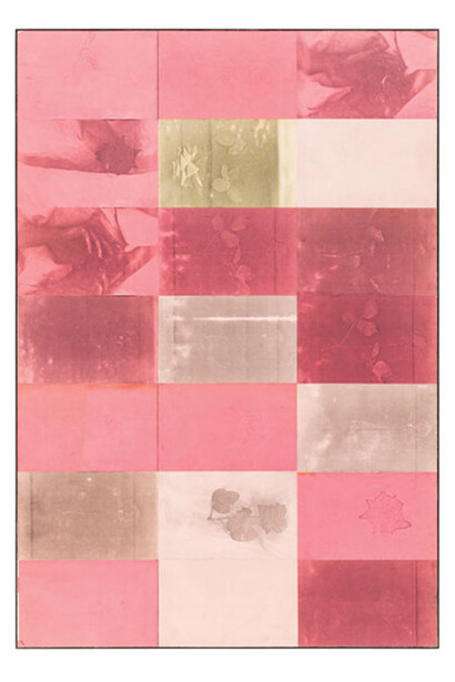 Barbara T. Smith, Pink, 1965, Xerox prints, 150 × 100 cm