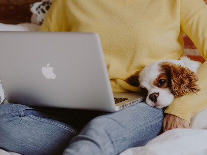 Dogs aren’t just animals we tamed: they evolved with us