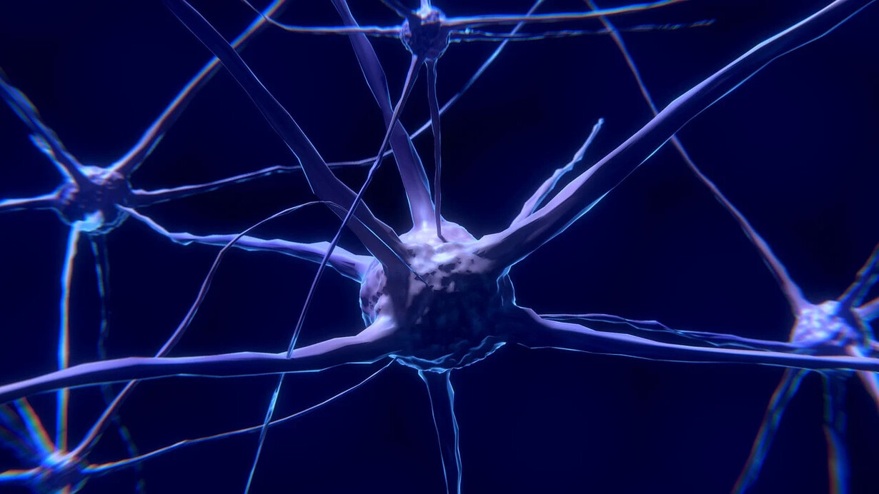 Rappresentazione di una rete di neuroni. La neuroplasticità, spesso definita semplicemente come "plasticità cerebrale", è la capacità del cervello di adattarsi, cambiando e ristrutturarsi in risposta all'esperienza, all'apprendimento e all'addestramento
