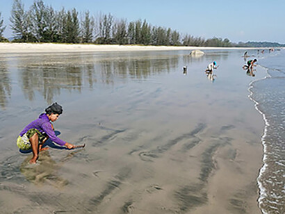 San Maria Bay (Dawei), Donne che battono un martelletto sulla battigia per catturare i molluschi che abitano sotto la sabbia