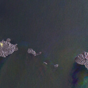 Gayle Chong Kwan, Waste archipelago. Courtesy of Galleria Alberta Pane