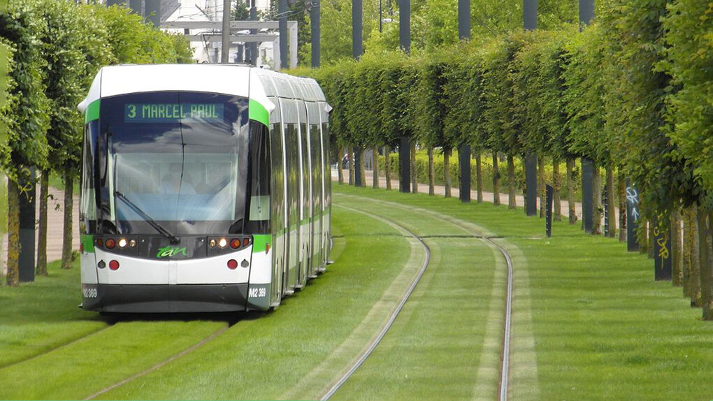 We should investigate the green spaces being planned for our neighborhoods and cities