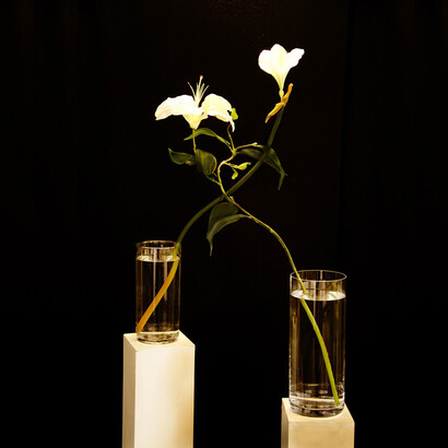 Mario Airò,
Là ci darem la mano, 2003,
Installazione con sonoro,
184 x 57 x 34,
Courtesy: Collezione ACACIA,
Credito fotografico: Fabio Mantegna
