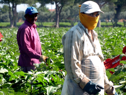 Farmers in Morocco