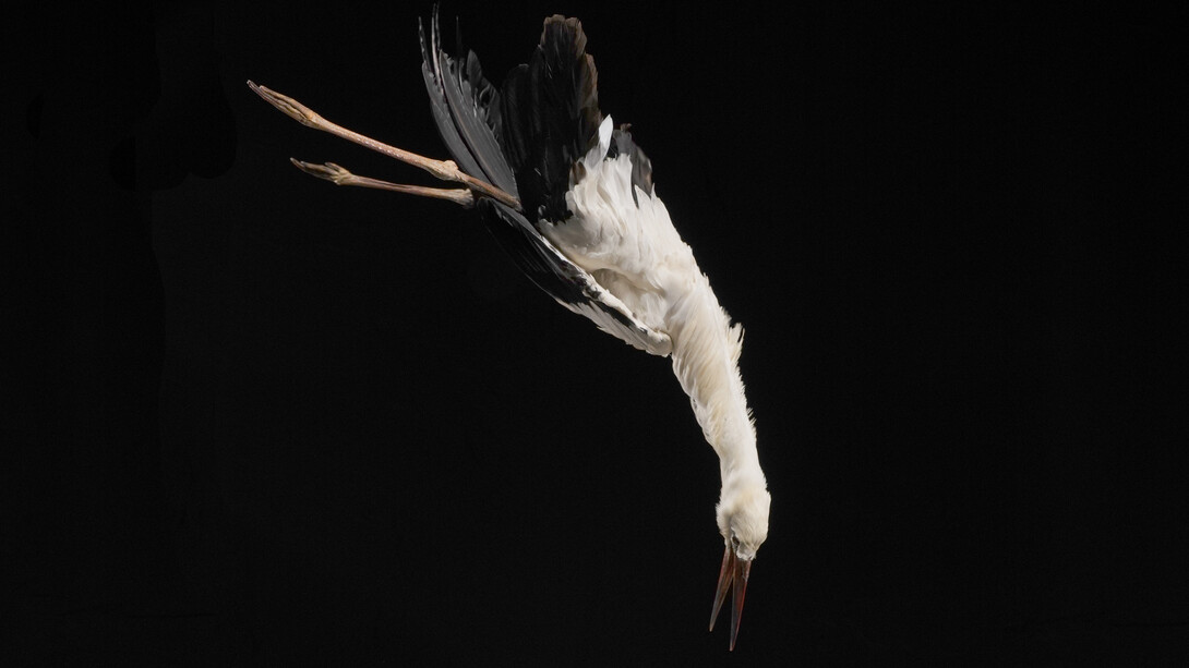 Still frame from Immer Noch der Lauf der Dinge 