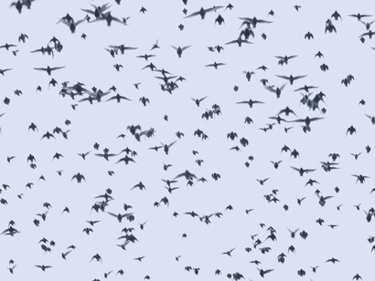 Bandada surca el cielo. Los maestros de la espiritualidad expresan contextos de la unicidad, como algo que es parte integral y natural de nuestro mismo ser, pero nosotros lo adoptamos con visos de ultramundo