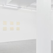Sarah Pillen, From the field, exhibition view. Courtesy of Hopstreet Gallery