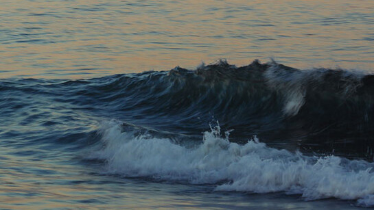 Summertime Salon. Courtesy of Robin Rice Gallery