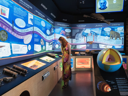 Permanent exhibition, exhibition view. Courtesy of Estonian Natural History Museum