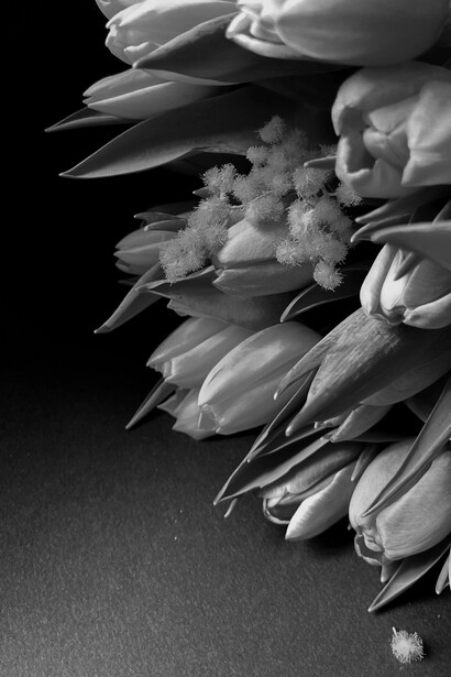 A perda de alguém amado nos transforma e deixa cicatrizes emocionais profundas, que podem durar uma vida inteira