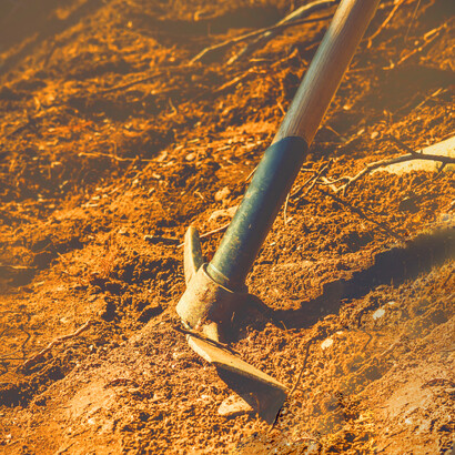 "...with little hope of finding anything other than rocks and dust"