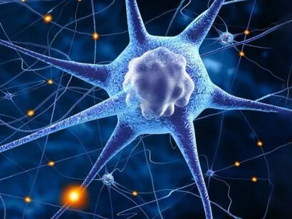 In our human brains there are billions of chemically moderated connections between neurons