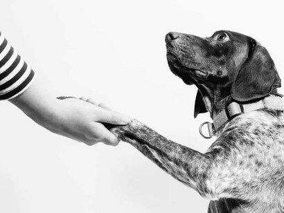 Il est essentiel d’avoir acquis la certitude de la non-existence du soi et des phénomènes