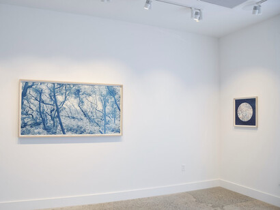 Dora Somosi, Understory, in blue, exhibition view. Courtesy of Sarah Shepard Gallery