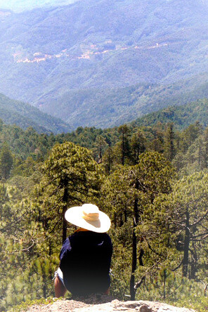 La natura ammaliante che mi aveva incantata