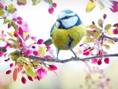 May we emerge wiser and more sensitive