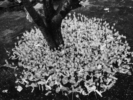 One Year Course. Courtesy of Magnum Photos