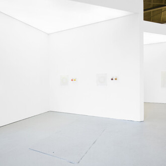 Elsa Salonen, Moonlit botanical colour theories, exhibition view. Courtesy of Galerie Jochen Hempel