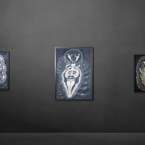 Ann Leda Shapiro, Interconnected worlds, exhibition view. Courtesy of Axel Vervoordt Gallery