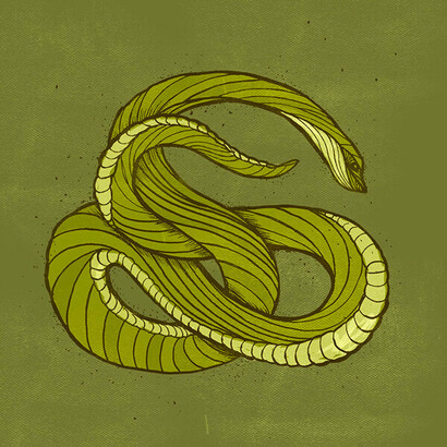 Kyson Dana. Serpente