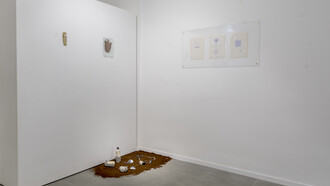 Aurora Paolillo, Polarità, 2019, installation view