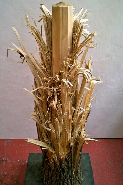 Mattia Bosco. Come cera per le api