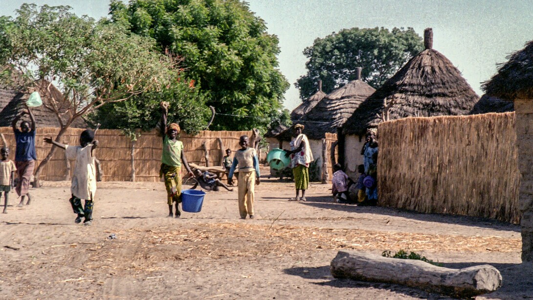 Des villageois capturés en plein jour alors qu'ils accomplissaient leurs tâches quotidiennes