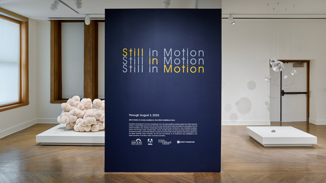 Various artists, Still in motion, exhibition view. Courtesy of San Jose Museum of Art