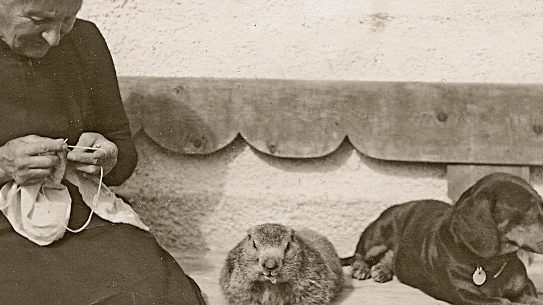 Marmot as housemate. S-charl GR, around 1925.
© Foto Feuerstein, Scuol.