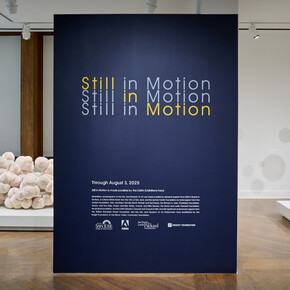 Various artists, Still in motion, exhibition view. Courtesy of San Jose Museum of Art