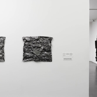 Sammy Seung-min Lee, Convertirse en madre patria, vista de exhibición. Cortesía de MCA Denver
