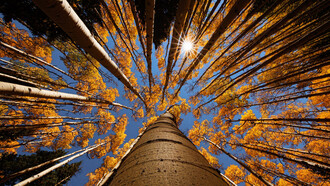 Daba igual, lo principal era estar juntos