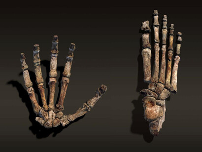 Resti di mani di uomini preistorici