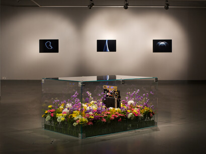 Sangjin Kim, Air purifier