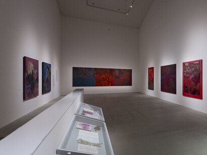 Radka Bodzewicz, Faust, exhibition view. Courtesy of DOX