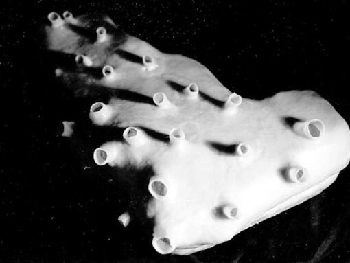 Up into the Unknown. Courtesy of Kunsthaus Graz 