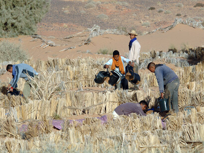 Shortage of food