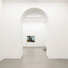 Torbjørn Rødland, Slow life strategies, exhibition view. Courtesy of Galerie Eva Presenhuber