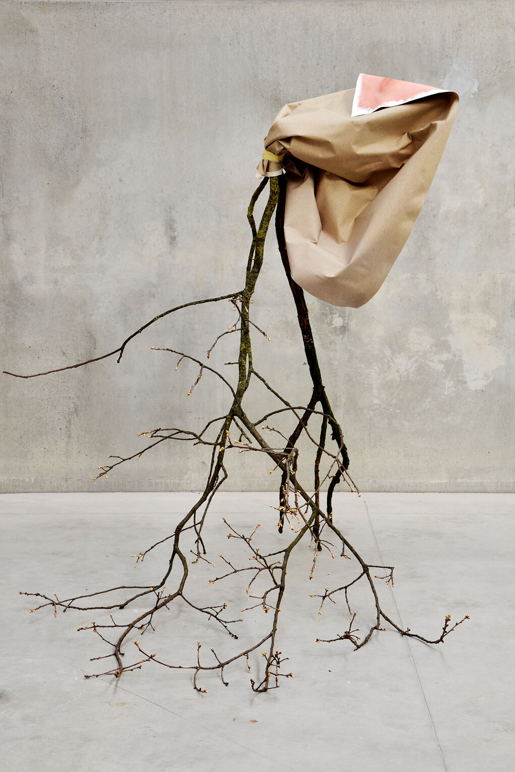 Laura Renna, Papaver orientale, photo print built on dibond panel, 90 x 66 x 6 cm, tiratura 1/3, Galleria civica di Modena © Laura Renna, gift from the artist