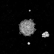 Jitish Kallat, Forensic Trail of the Grand Banquet, 2009, single channel video, Projection or screen, variable dimensions, ed 5 + 1AP, Courtesy Galerie Daniel Templon, Paris. © Jitish Kallat