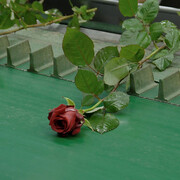 Éric Baudelaire, This flower in my mouth (still), 2021. Mit freundlicher Genehmigung der Hamburger Kunsthalle