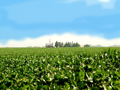 El magnate de la soja era un ser gigante, alto y que se desenvolvía con dotes de prestidigitador, manteniendo sus manos en constante movimiento, confundiendo. Había ido preparado, la petición era concreta: buscaba el apoyo público a la agricultura extensiva transgénica por sus beneficios para alimentar al mundo hambriento. Campo sembrado con soja en Junín, Argentina