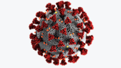 Struktur eines Coronavirus durch das CDC