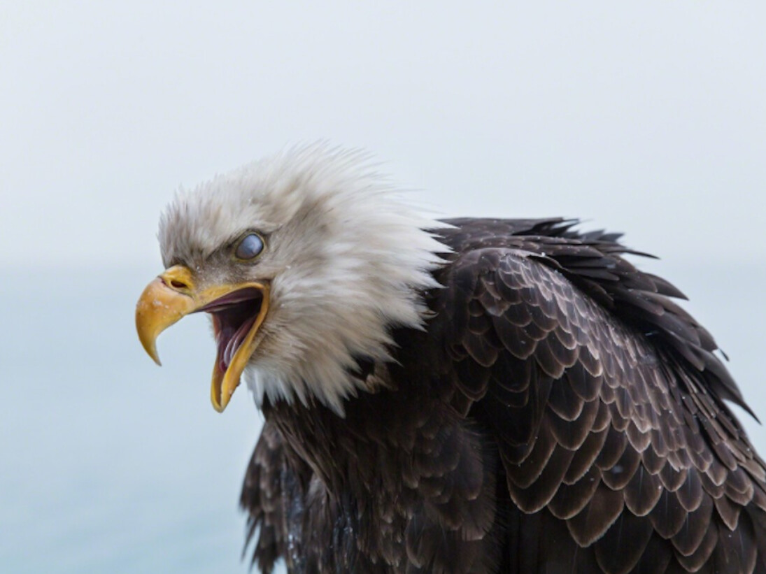 Corey Arnold. Courtesy of Richard Heller Gallery