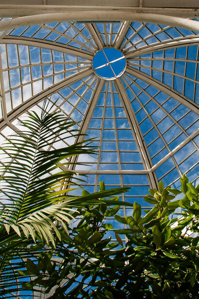 Explore a beleza de Curitiba visitando parques como Jardim Botânico, Parque Tanguá e Parque Tinguí, verdadeiros oásis urbanos