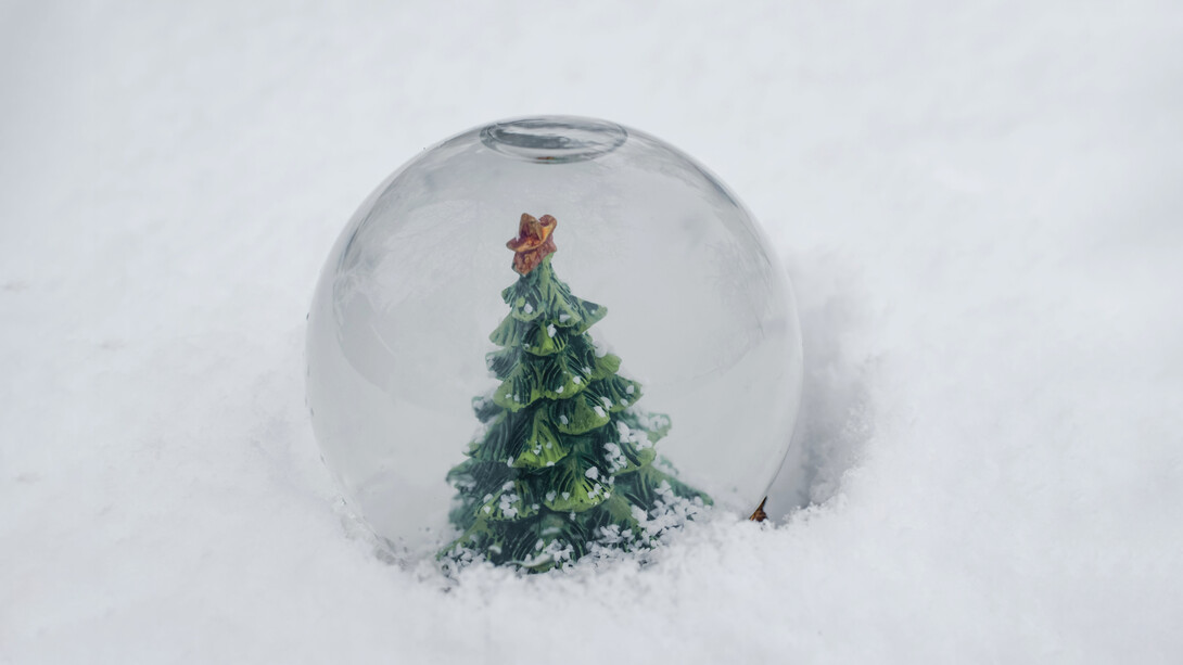 El árbol de Navidad continúa siendo un testamento perdurable de la capacidad de las tradiciones para conectar a las personas